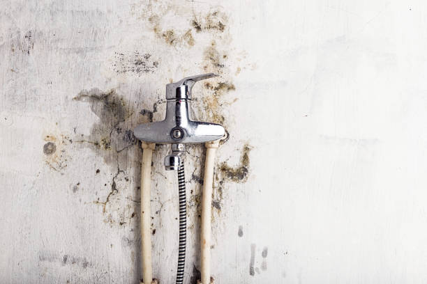 Best Mold Testing  in Macarthur, WV
