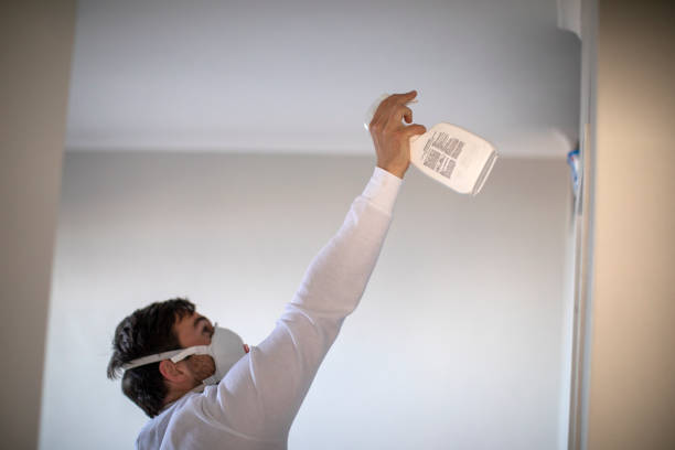 Best Home Mold Removal  in Macarthur, WV